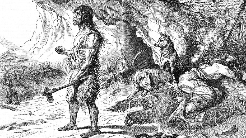 Dogs were 'loyal companions to Ice Age hunters' far earlier than believed, study finds Education WA